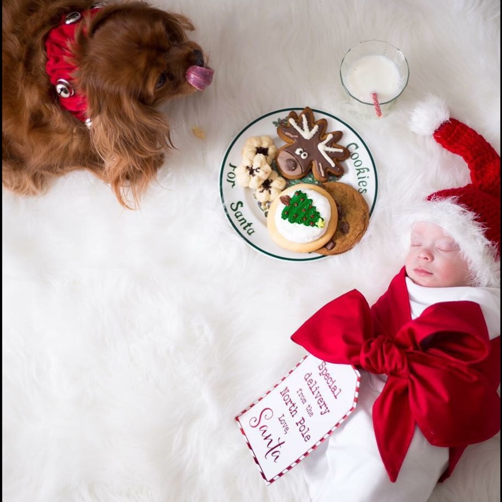 The Beaufort Bonnet Company bow swaddle/Santa tag